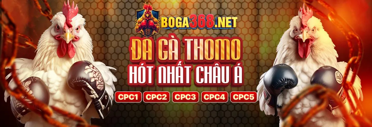 Đá Gà OKEVIP – Sân Chơi Cá Cược Trực Tuyến